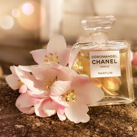 Coromandel (Parfum) - Chanel