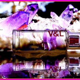 V&L para Mujer - Victorio & Lucchino