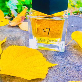 M7 (2011) / M7 Oud Absolu von Yves Saint Laurent