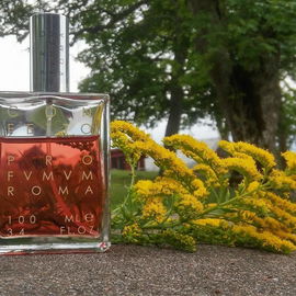 von MissGuerlain