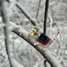 „Der König Frost spaziert bei Nacht, hat weißen Glitzer mitgebracht. Den zaubert er mit kalter Hand, an jeden Halm und Blätterrand…“  Nur das Beste im Neuen Jahr für euch und vielen Dank fürs Vorbeischauen ❄️