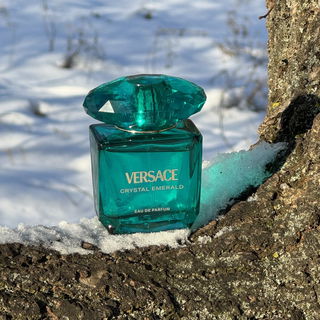 Crystal Emerald by Versace