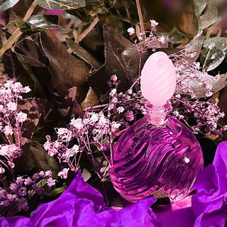 Création (1984) (Eau de Toilette) - Ted Lapidus