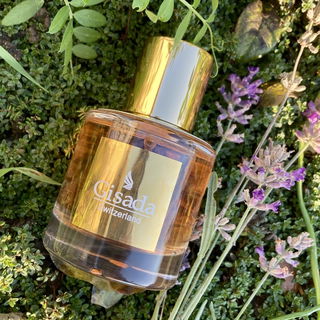 Ambassador for Women - Gisada