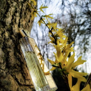 One Love - Jean-Louis Scherrer