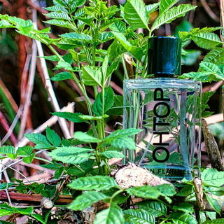 Green Flannel - OHTOP