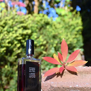 Fils de joie von Serge Lutens