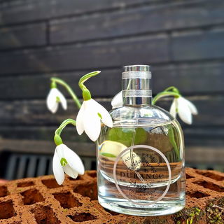 Die Schneeglöckchen umspielen den blumigen Frühlingsduft, ansonsten ist alles noch karg im Garten 🤍🌱🤍 Danke, ich freu mich über Eure Besuche 🥰