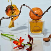 MISKEO : Wenn Allégorie de l'été ein Film wäre, wäre es&nbsp;Dirty Dancing&nbsp;. Ein Album, Grace Jones's&nbsp;Nightclubbing&nbsp;. Ein Gemälde, Fragonards&nbsp;Les Heureux Hasards de l'Escarpolette.&nbsp;Eine Fernsehserie,&nbsp;The White Lotus Staffel 2. 🏵     Erster Eindruck  : # Lebkuchengewürz - Aldehyde # Herbstspaziergang # Floraler Tabak # Bitterorange Fenchelgrün.  Lieben Dank allen. 🧜‍♀️ (by Seejungfrau)