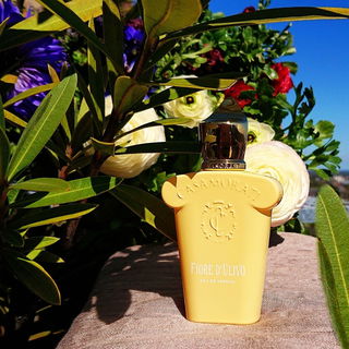 Casamorati - Fiore d'Ulivo (Eau de Parfum) - Xerjoff