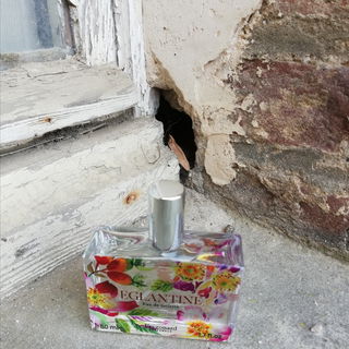 Eglantine - Fragonard