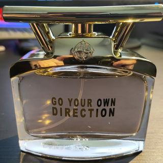 Go Your Own Direction by Georges Mezotti