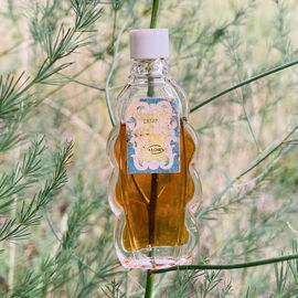 Le Dandy (Parfum) - d'Orsay