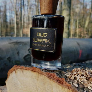 Oud Luwak (Extrait de Parfum) von Areej Le Doré
