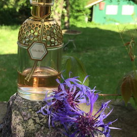 Aqua Allegoria Lilia Bella - Guerlain