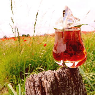 Alien Essence Absolue von Mugler