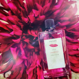 N°14 Rossetto - Prada