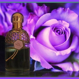 Aqua Allegoria Rosa Magnifica - Guerlain