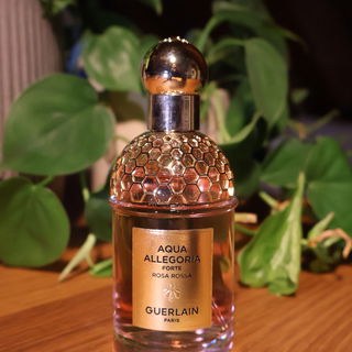 Aqua Allegoria Forte Rosa Rossa by Guerlain