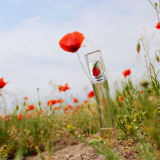 Am Muttertag dürfen es auch mal Blümchen sein ;)