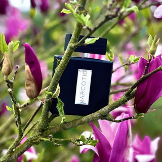 Narcotic - MAD Parfumeur