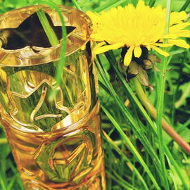 Elle L'Aime - Lolita Lempicka