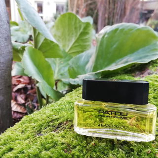 Patou pour Homme (1980) (Eau de Toilette) - Jean Patou