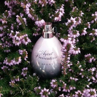 So Elixir Purple - Yves Rocher