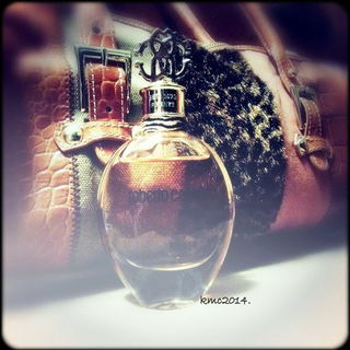 Roberto Cavalli (2012) von Roberto Cavalli