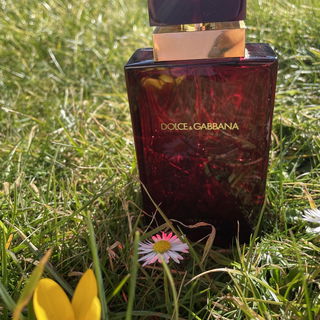 Dolce & Gabbana pour Femme Intense von Dolce & Gabbana