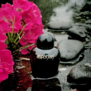 Where the wild roses grow...