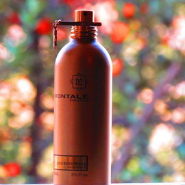 Aoud Roses Petals - Montale