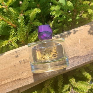 Purple Mantra - Room 1015