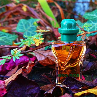 Ein buntes Duftpotpourri aus Blumen, Früchten, Hölzern 🌺🍇🪵 Danke für Eure Blicke 🥰