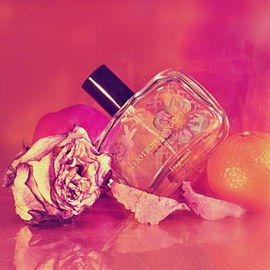 Héliotrope Gingembre (Eau de Parfum) - Fragonard