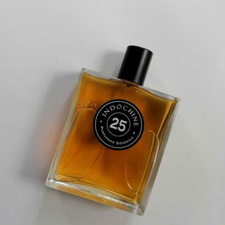 25 Indochine by Pierre Guillaume