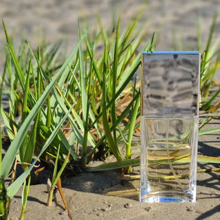 Truth (Eau de Parfum) von Calvin Klein