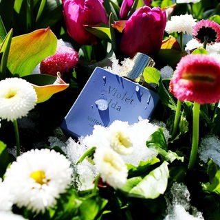 Violet Ida - Miller Harris