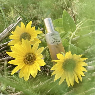 Mit „Galbanum-Schleier“