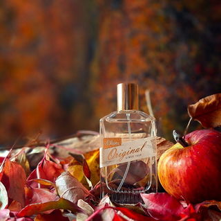 Original Women von s.Oliver