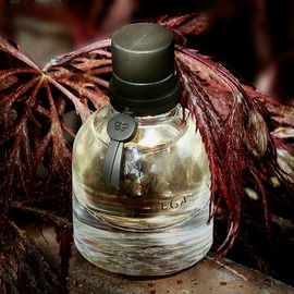 Bottega Veneta (Eau de Parfum) - Bottega Veneta