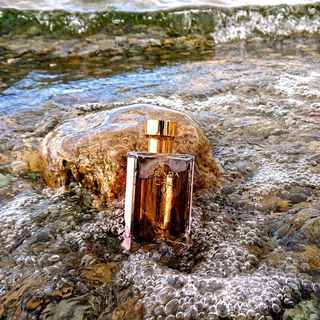 Vorfreude auf den Urlaub ...