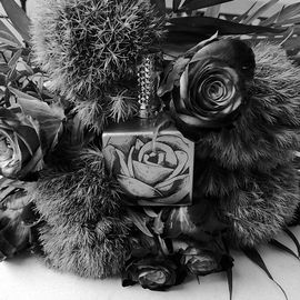 Rosenrot Intense - Rammstein
