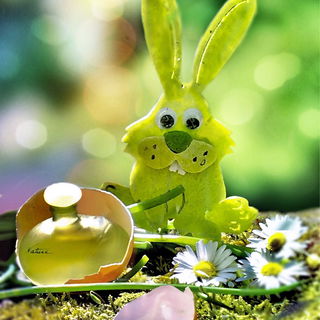 …. mein Schmunzelhase mit der grünen Nase .. wünscht Euch allen schöne Ostertage 🐇 - in/mit viel Natur 🌼 - in/mit viel Sonne 🌞 … :)) -   der Hase u. ich - wir bedanken uns ganz herzlich für Eure schönen Lobesworte ☺️