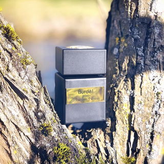 Burdèl - Tiziana Terenzi