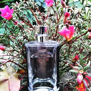 Between moss-rose...