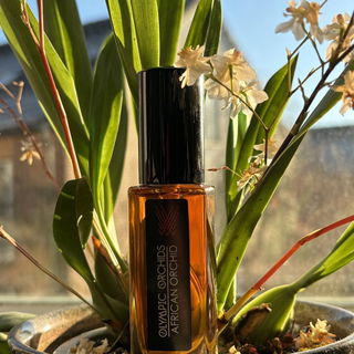African Orchid von Olympic Orchids Artisan Perfumes