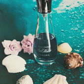 Ich danke Euch allen, das ihr mit mir auf Tauchgang geht und für Eure lieben Kommentare🥽🐬🐠 (by Setterliebe)