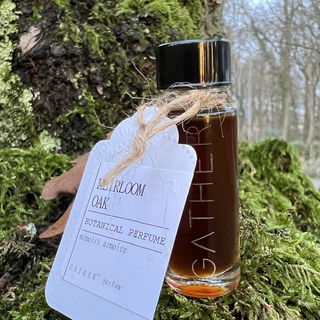 Heirloom Oak von Gather Perfume / Amrita Aromatics