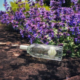 Verveine Cédrat - Jeanne en Provence